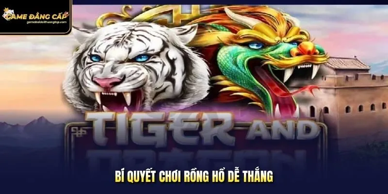 Rồng Hổ