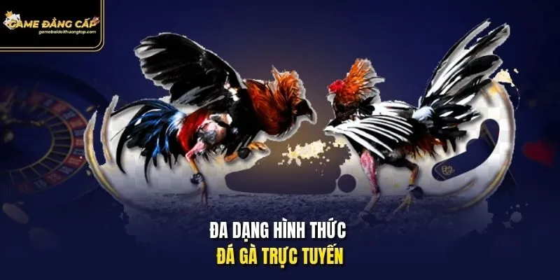 Đa dạng hình thức đá gà trực tuyến
