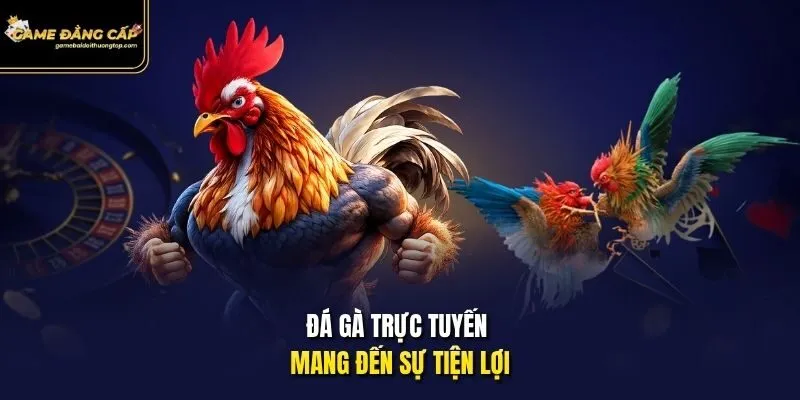 Đá gà trực tuyến mang đến sự tiện lợi