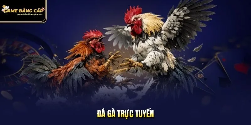 đá gà trực tuyến