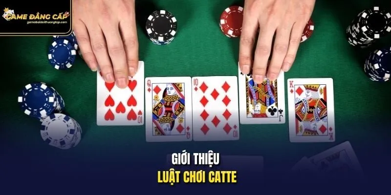 Giới thiệu luật chơi Catte