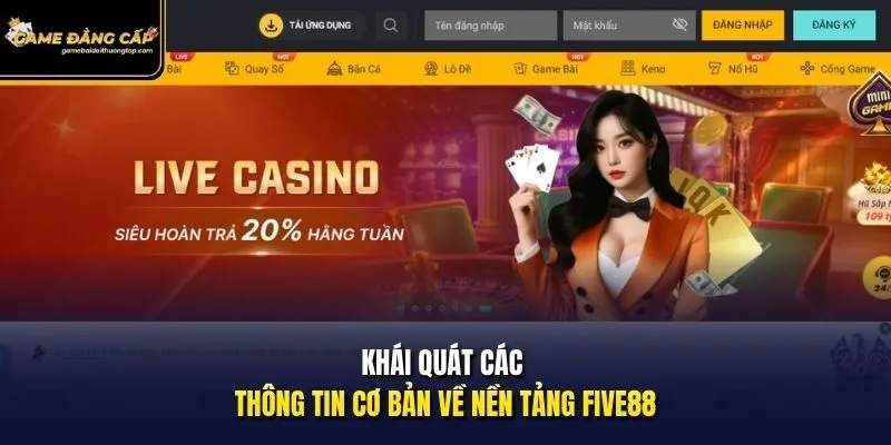 Khái quát các thông tin cơ bản về nền tảng Five88