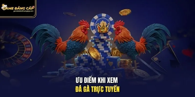 Ưu điểm khi xem đá gà trực tuyến